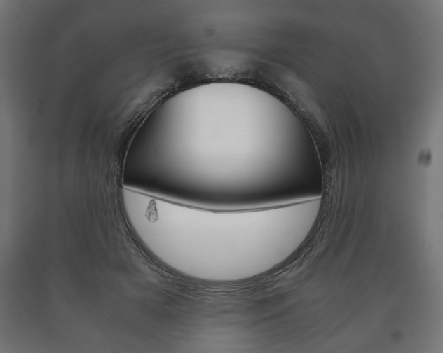 X0000090990505200708021206