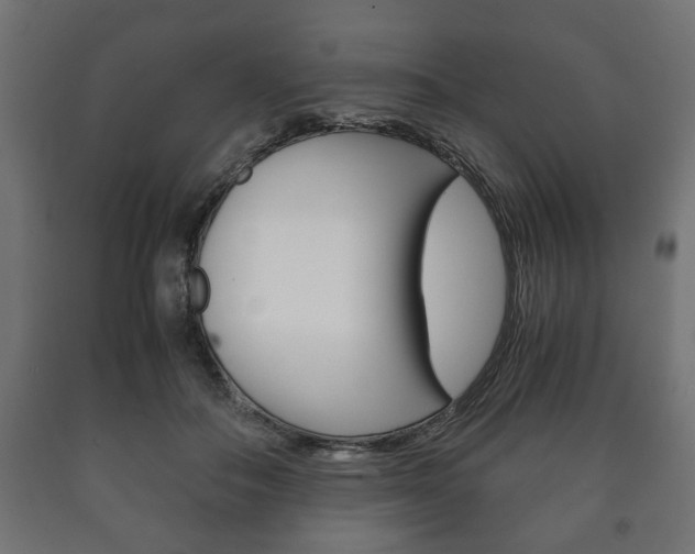 X0000090990506200708021206