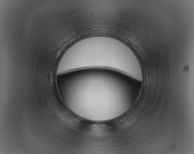 X0000090990508200708021206
