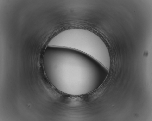 X0000090990512200708021206
