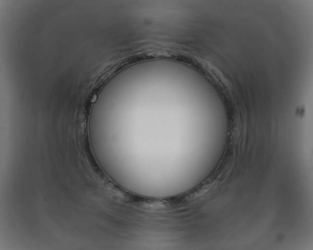 X0000090990513200708021206