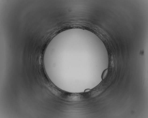 X0000090990514200708021206