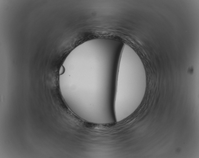 X0000090990515200708021206