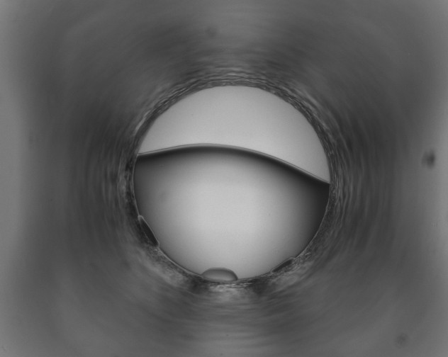 X0000090990516200708021206