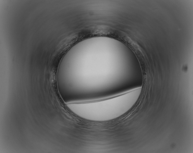 X0000090990517200708021206