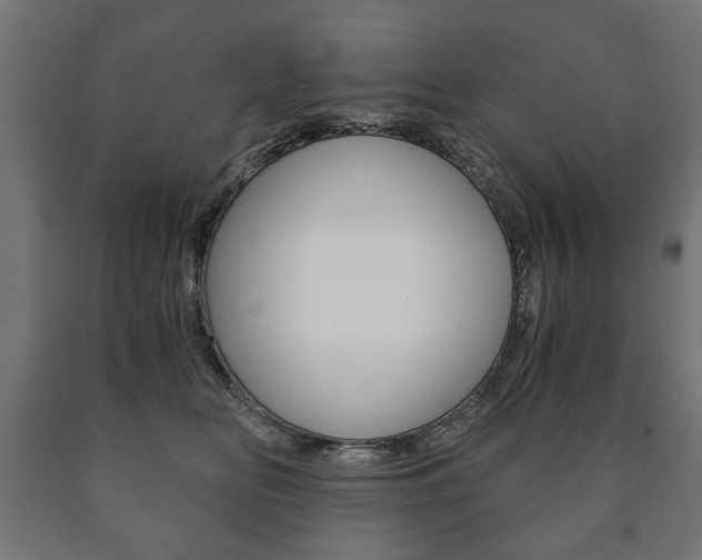 X0000090990518200708021206