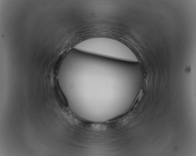 X0000090990520200708021206