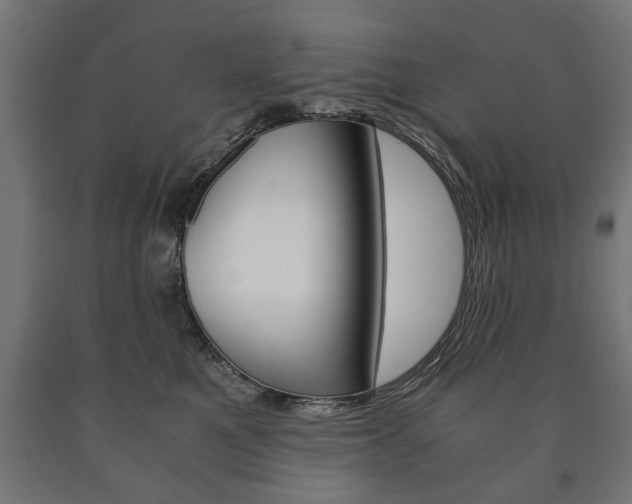 X0000090990521200708021206