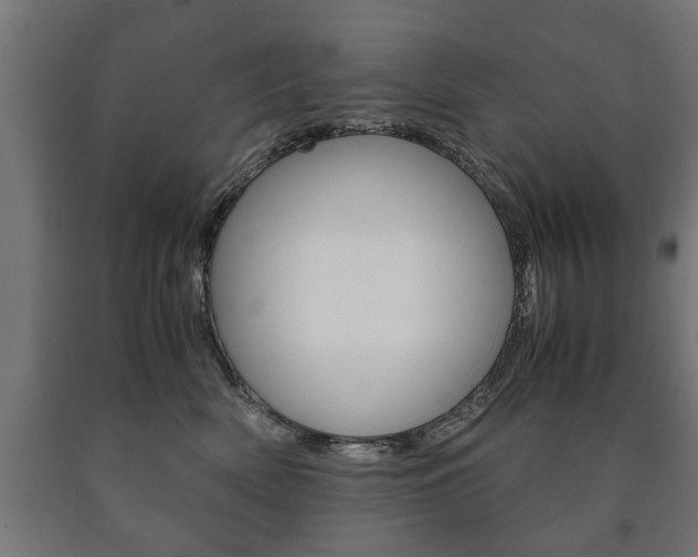 X0000090990522200708021206