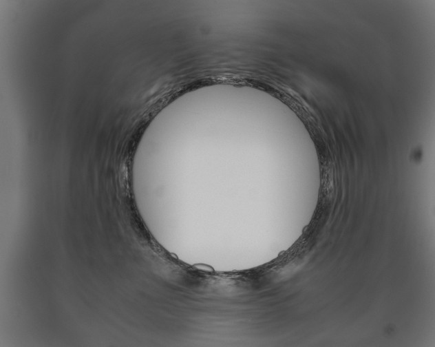 X0000090990523200708021206