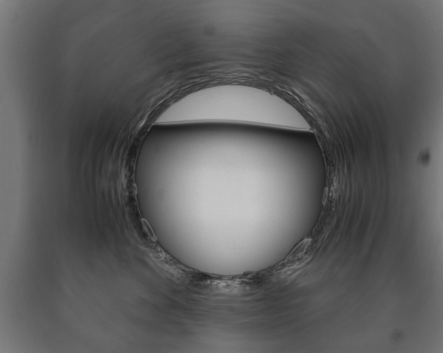 X0000090990524200708021206