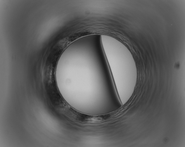 X0000090990525200708021206