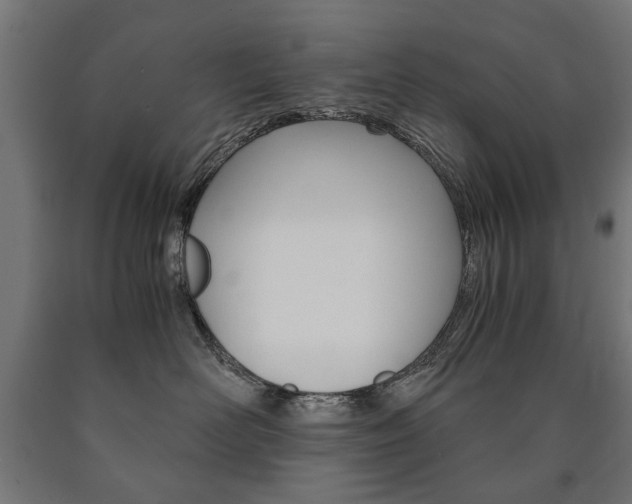 X0000090990526200708021206