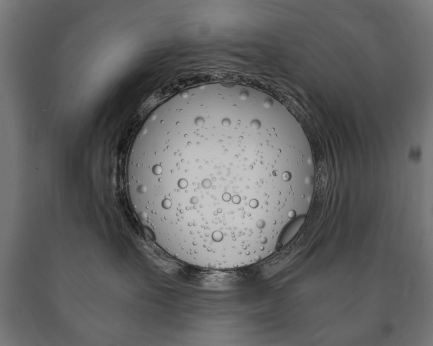 X0000090990527200708021206