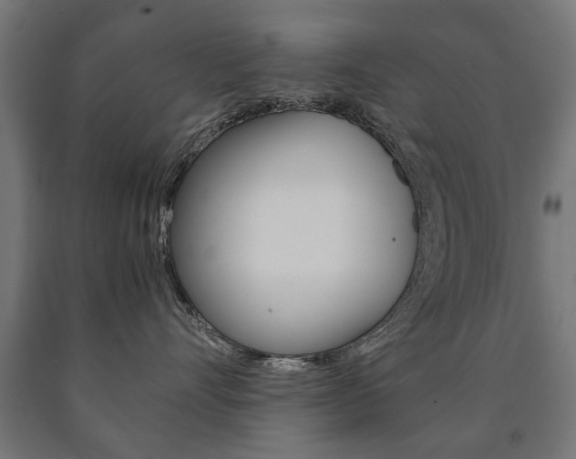 X0000090990528200708021206