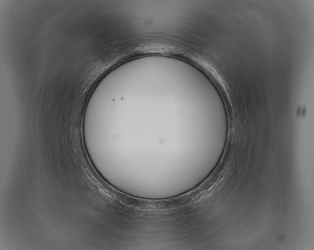 X0000090990529200708021206