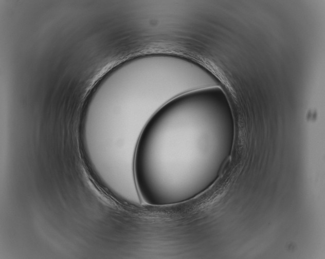 X0000090990530200708021206