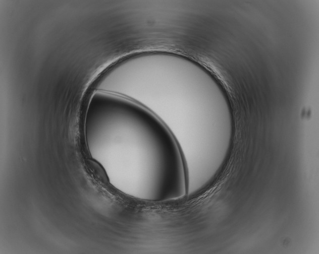 X0000090990532200708021206