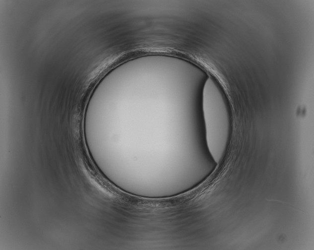 X0000090990533200708021206