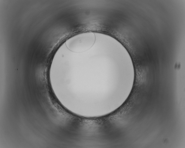 X0000090990534200708021206