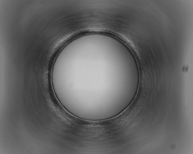 X0000090990535200708021206