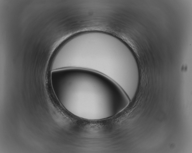 X0000090990536200708021206