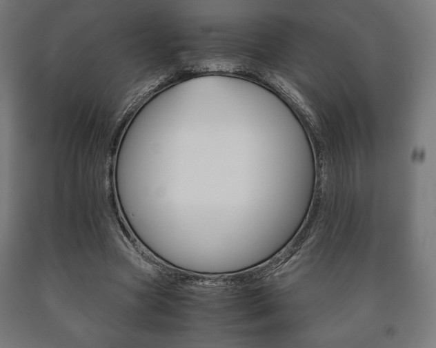 X0000090990537200708021206