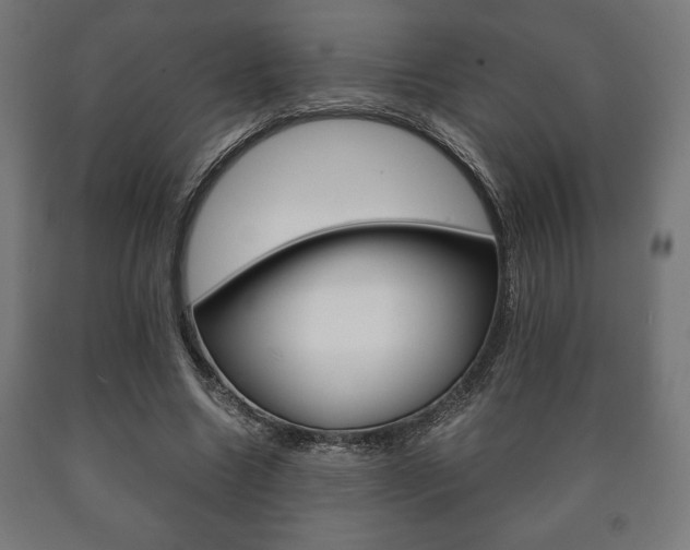X0000090990538200708021206