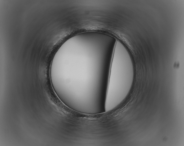 X0000090990539200708021206
