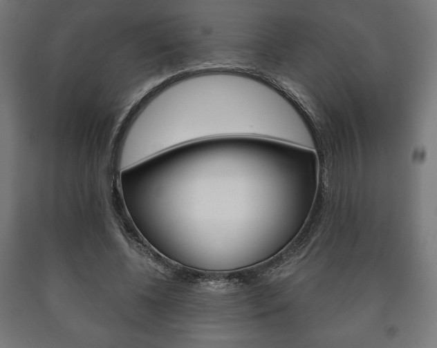 X0000090990540200708021206