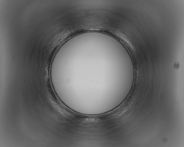 X0000090990541200708021206