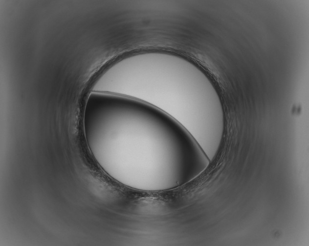 X0000090990544200708021206