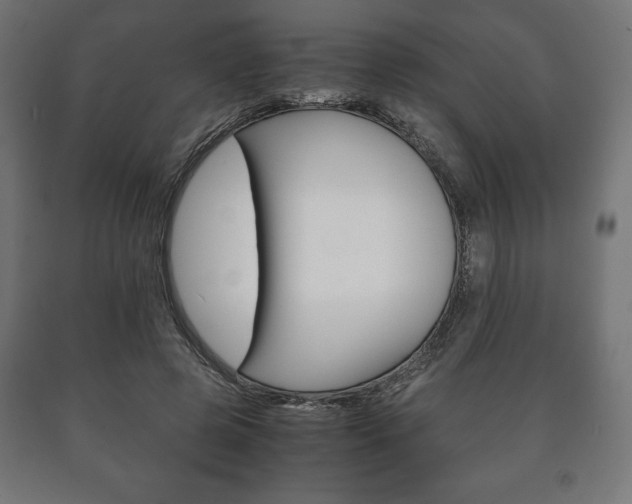 X0000090990545200708021206