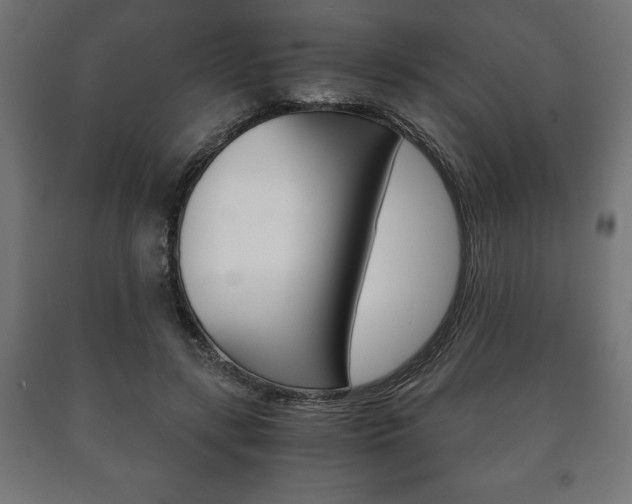 X0000090990547200708021206