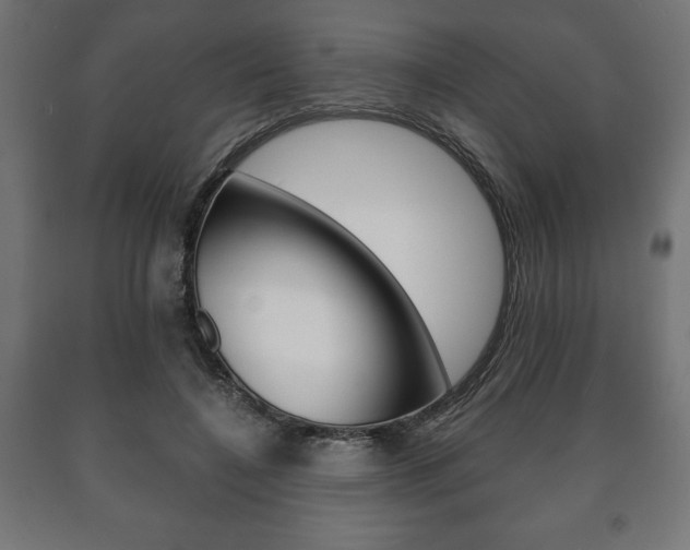 X0000090990548200708021206