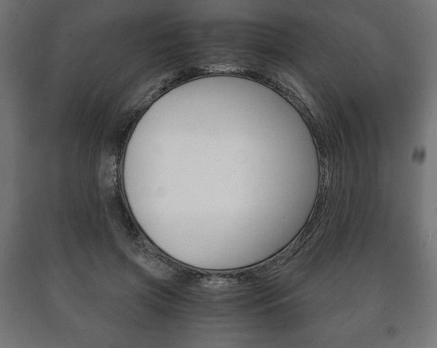 X0000090990549200708021206