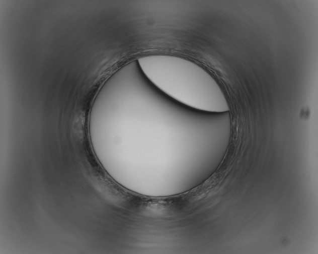 X0000090990550200708021206