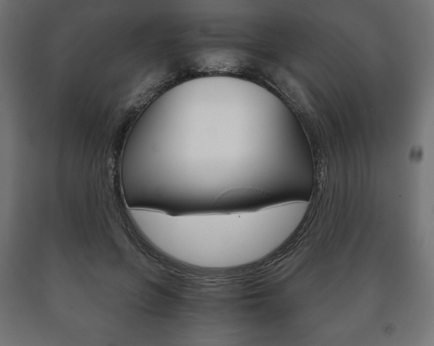 X0000090990551200708021206