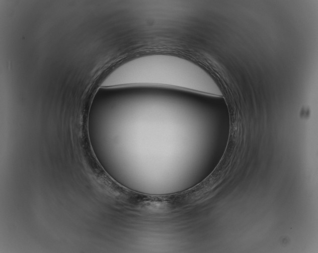X0000090990552200708021206