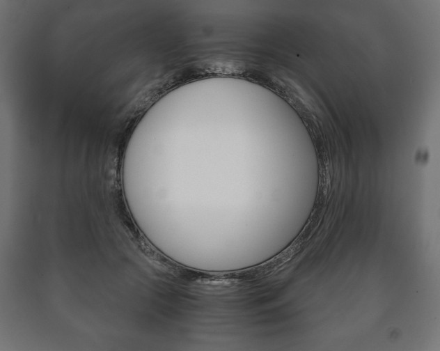 X0000090990553200708021206