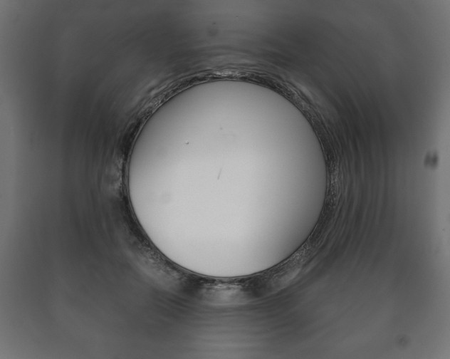 X0000090990554200708021206