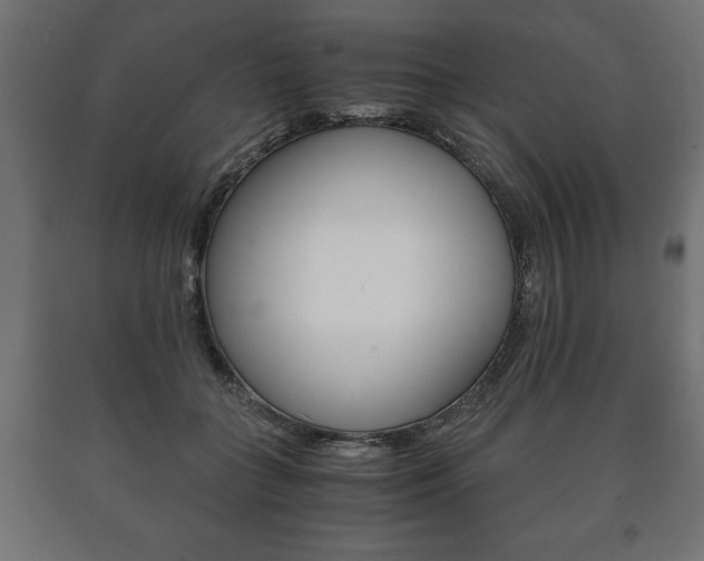 X0000090990555200708021206