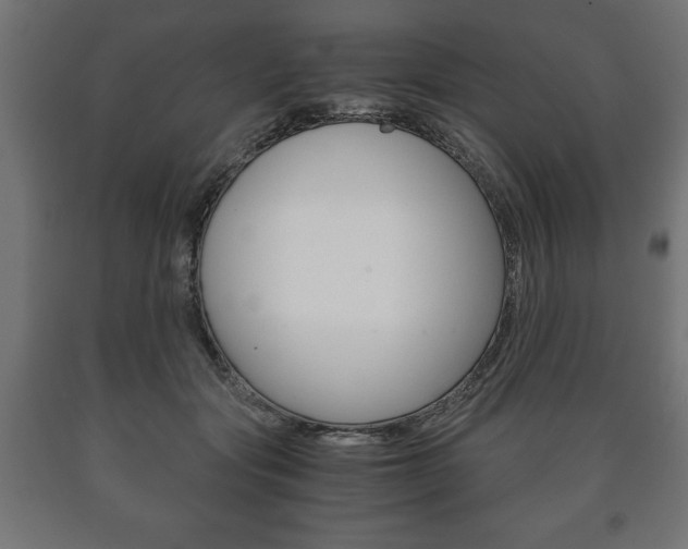 X0000090990557200708021206