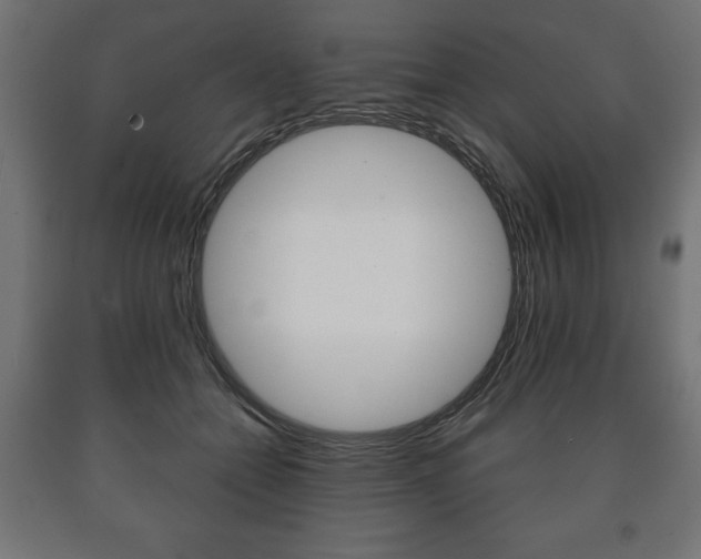 X0000090990558200708021206