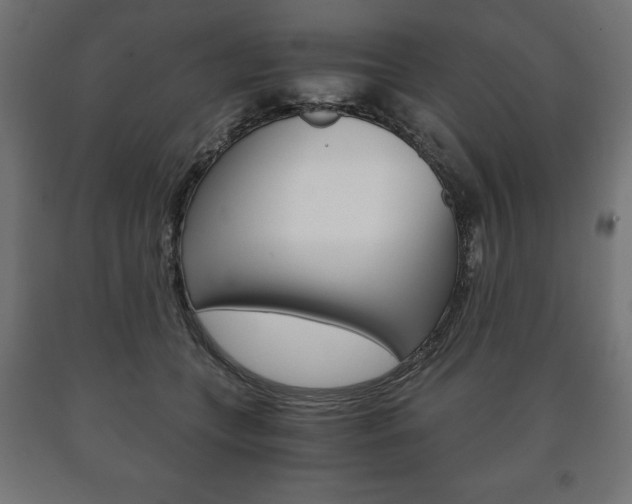 X0000090990559200708021206