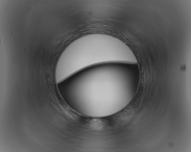 X0000090990562200708021206