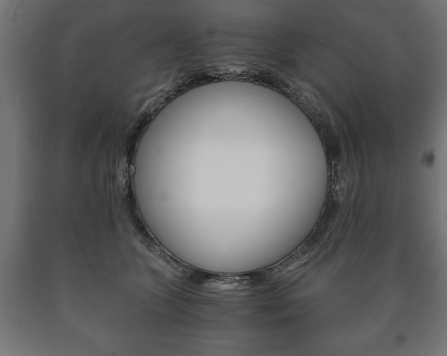 X0000090990563200708021206