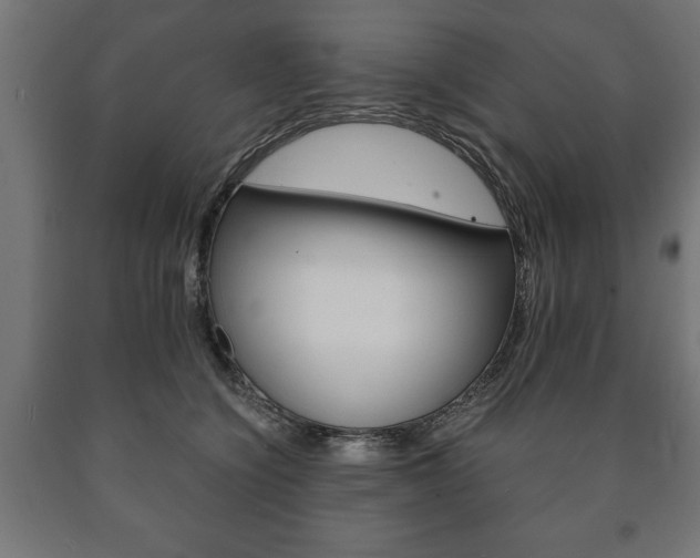 X0000090990564200708021206