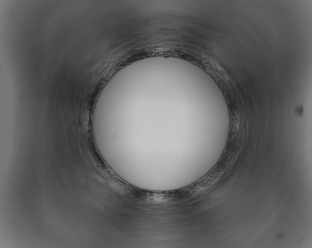 X0000090990565200708021206