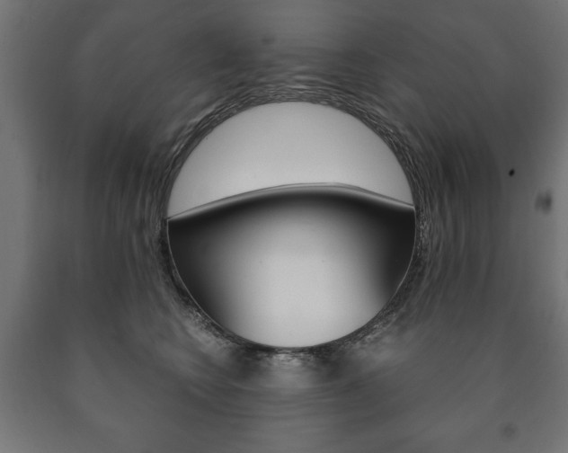 X0000090990566200708021206